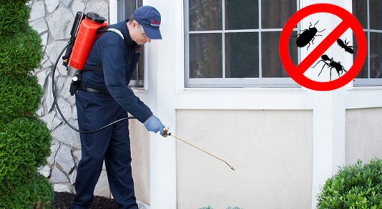 Ovacık Akrep İlaçlama böcek ilaçlama ve haşere kontrolü — ilaclama-tr.com